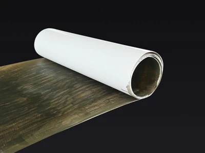PTFE সোডিয়াম শীট